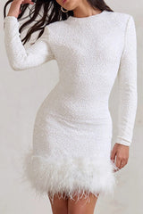 Chic Long Sleeve Crew Neck Solid Sequin Feather Sequin Dress