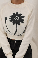 Round Neck Knit Sweater