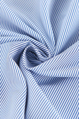 Slim Fit Long Sleeve Blouse