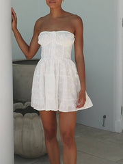 Special Holiday Stylish Lace Mini Dress White / S Dresses