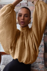 Stand Collar Lantern Sleeve Blouse