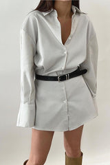 Striped Collared Waist Shirt Mini Dress