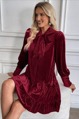 Velvet Vintage Bow Collar Flowy Short Mini Dress