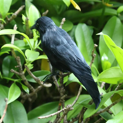 Scary Black Raven Model Halloween Decorative Item