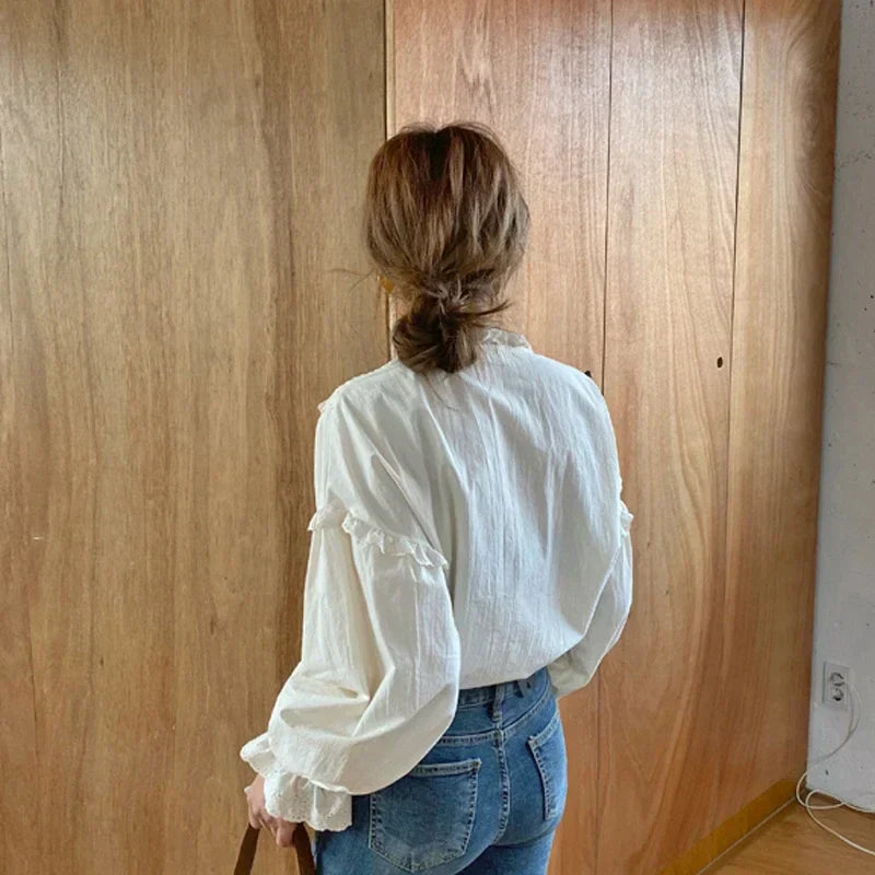 Spring Loose Lantern Sleeve Vintage Blouse blouse-250223