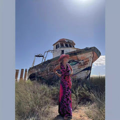 Printed Sleeveless V neck A line Dress