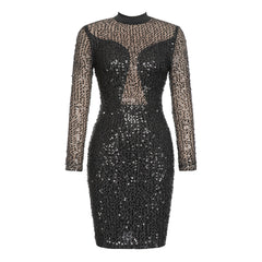 Simple Round Neck Sequ Stitching Mesh Long Sleeve Dress