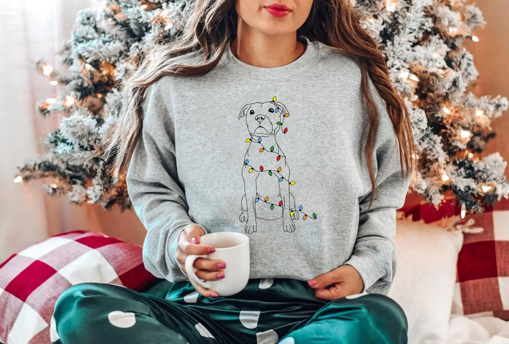 Cute Pitbull Christmas Hoodie For Girls Gray / S Hoodies-L