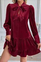 Velvet Vintage Bow Collar Flowy Short Mini Dress