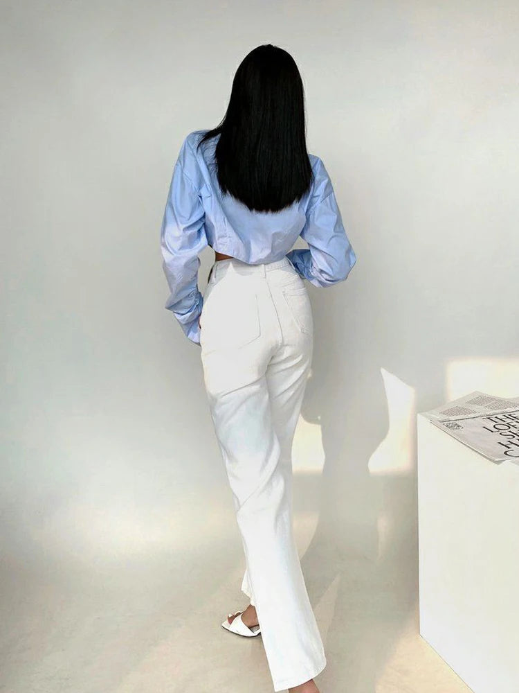Korean Style Long Sleeve Button Crop Blouse blouse-250126