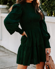 Pullover Long Sleeve Crew Neck Mini Dress