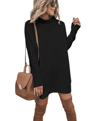 Marcelle Mock Neck Knit Dress - Black