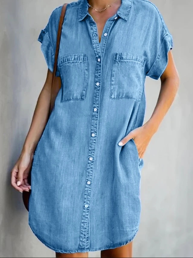 Ginnie Pintuck Button Down Shirt Dress - Blue