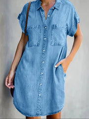 Ginnie Pintuck Button Down Shirt Dress